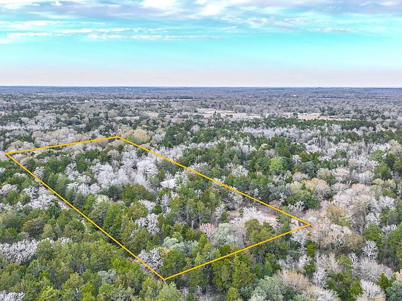 5th image of 1042 Black Forest Rd