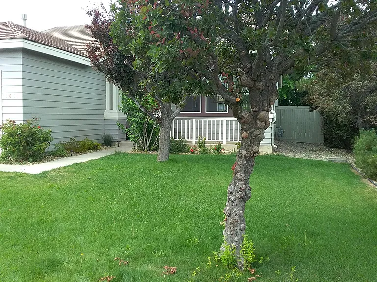 1665 Cattlemen Ct — Photo 4