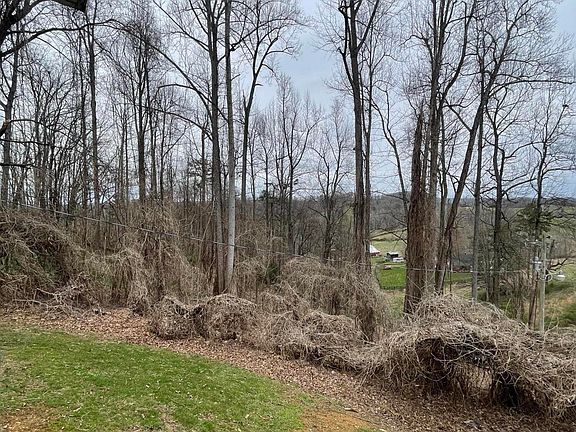 29th image of this home