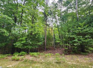 4128 Williamston Ct, Williamsburg, MI 49690