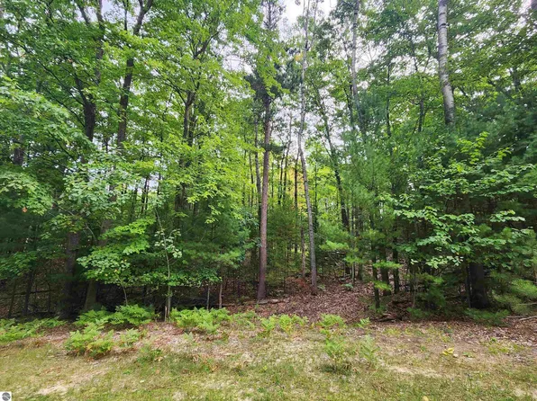 4128 Williamston Ct, Williamsburg, MI 49690