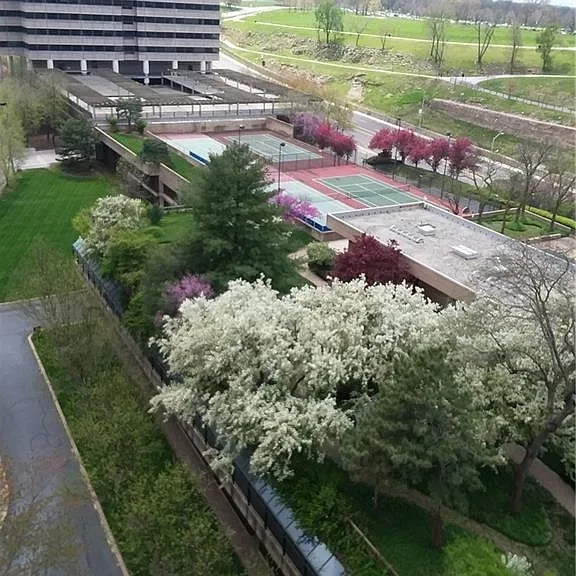 Spring time view from balcony