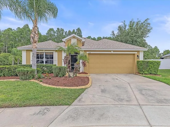 5618 Sheer Bliss Loop, Land O Lakes, FL 34639
