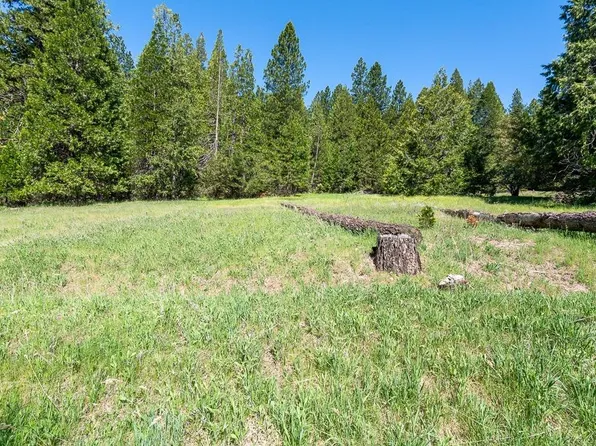 19508 Ponderosa Dr, Pioneer, CA 95666