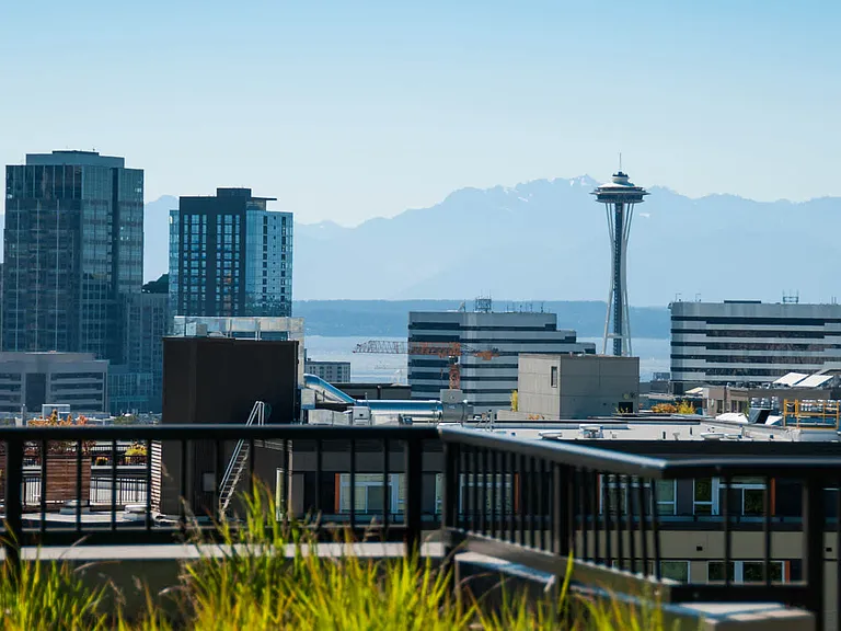 Mountain and City Views