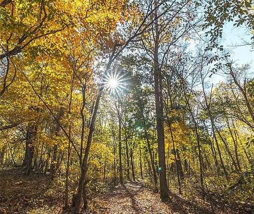 69th image of this home