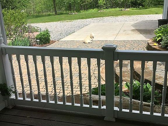 4th image of 523 A Peterson Memorial Dr