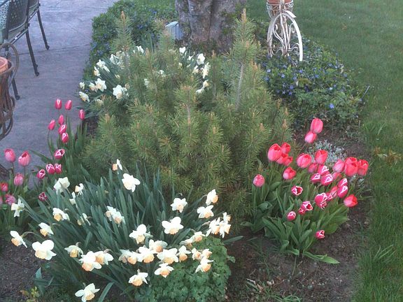 Flower beds.