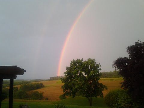 Another backyard view