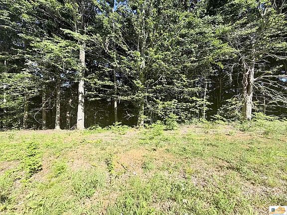5th image of 740 Jay Wheeler Rd