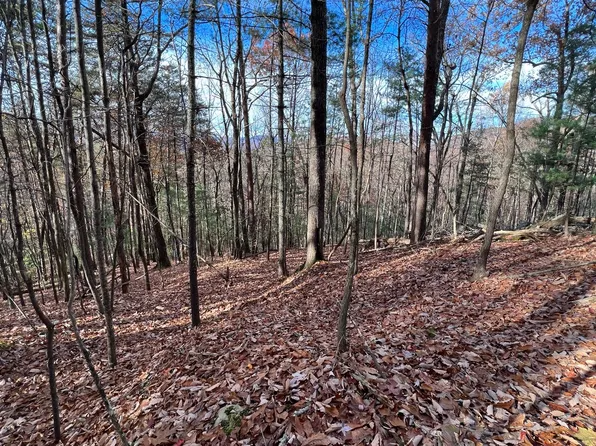 J 214 Walnut Mountain Rd, Ellijay, GA 30536