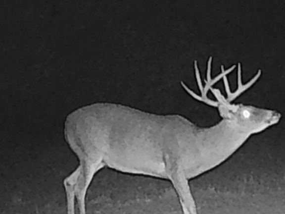 3rd image of 0 CR 4715