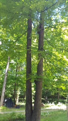 11124 S Co Rd 225 W Lot F, Cloverdale, IN 46120