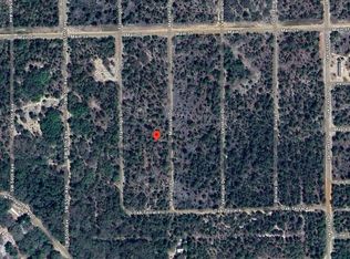 119 Marshall Dr, Interlachen, FL 32148