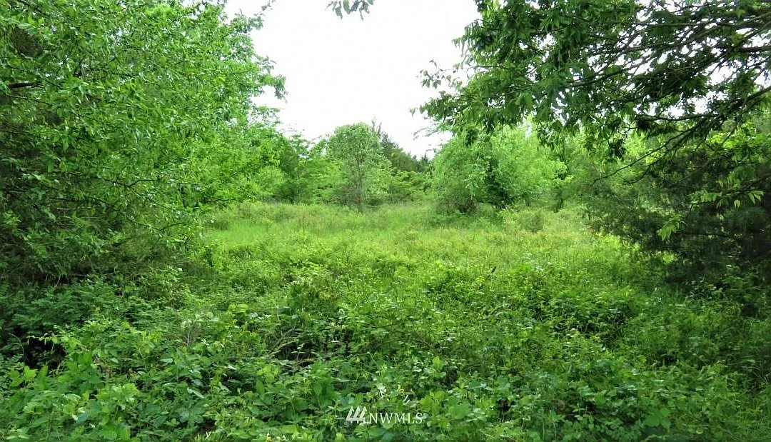 3930 Mile Hill Drive photo 1