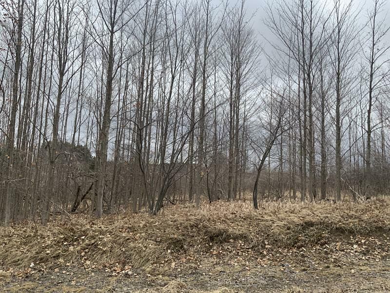 1st image of Tbd Basler Rd