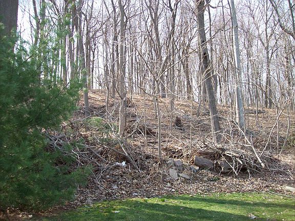 Park to the rear line