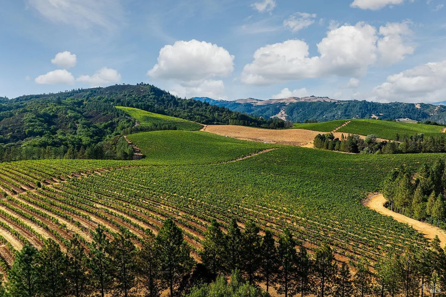 9965 W Dry Creek Road - in Healdsburg, CA
