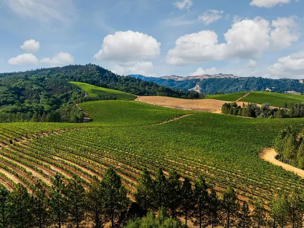 9965 W Dry Creek Road, Healdsburg, CA 95448