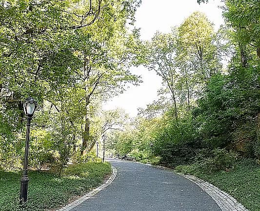 3rd image of 461 Central Park W #3E