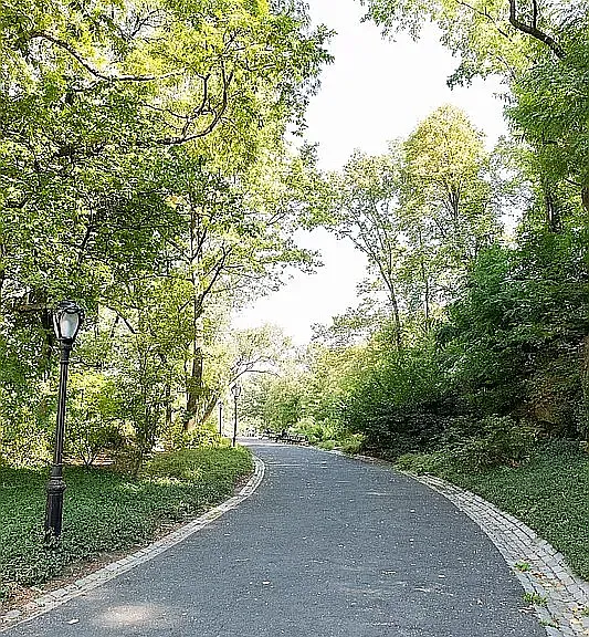 461 Central Park W #3E — Photo 3