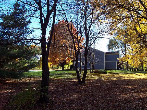 Right side as seen from our yard