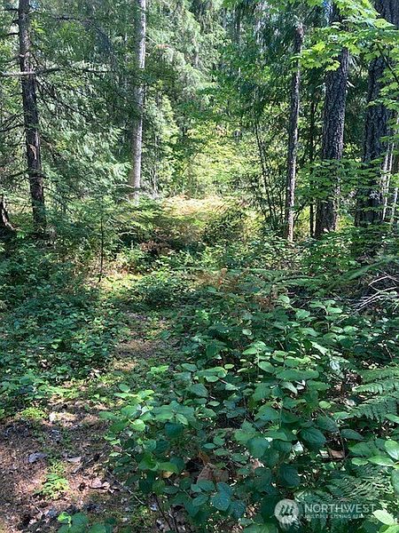 2nd image of 21 N Goldeneye Drive