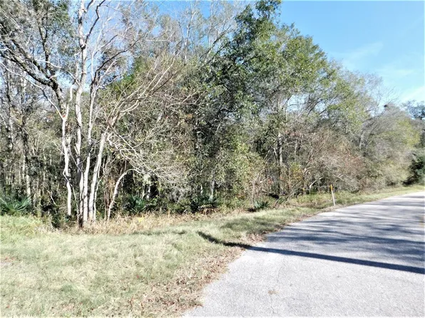 0 Brazos River Rd, Damon, TX 77430