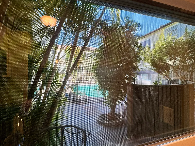 Pool view