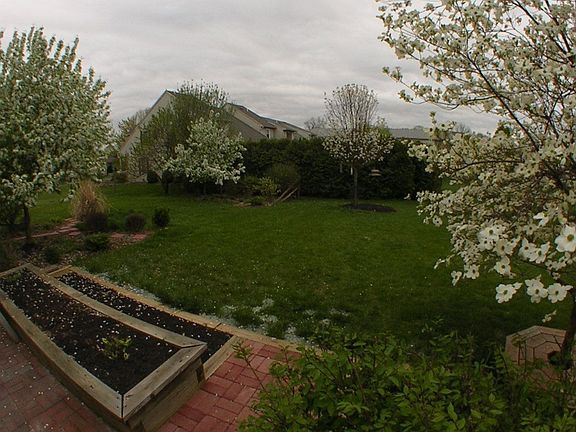 Rear Yard