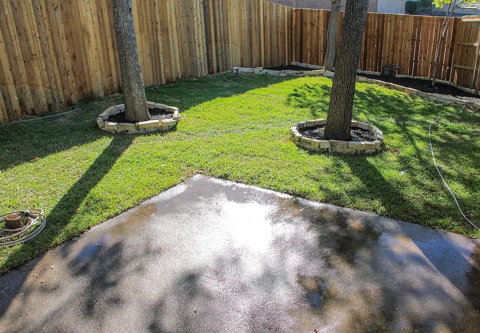 Back Yard