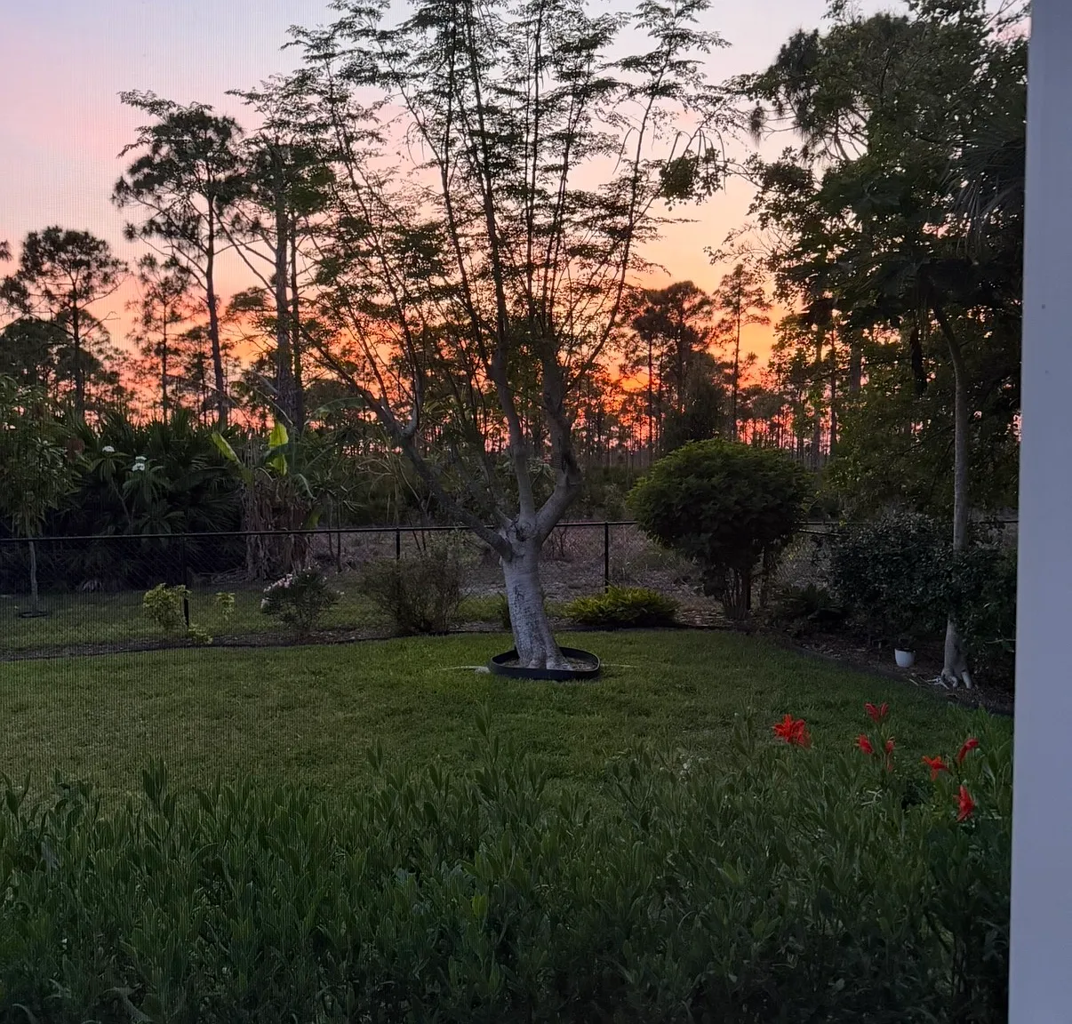 3 bed, 1659 sqft, $2,500 — Photo 2