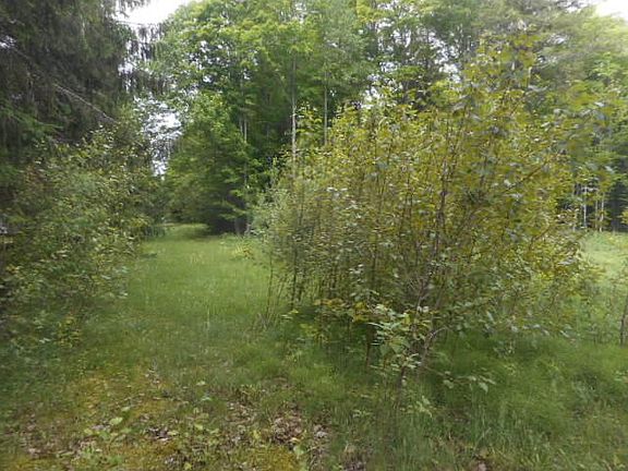 5th image of 4034 County Road 413
