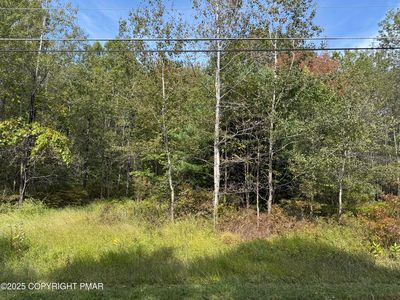 223 Wolf Dr, Jim Thorpe, PA, 18229