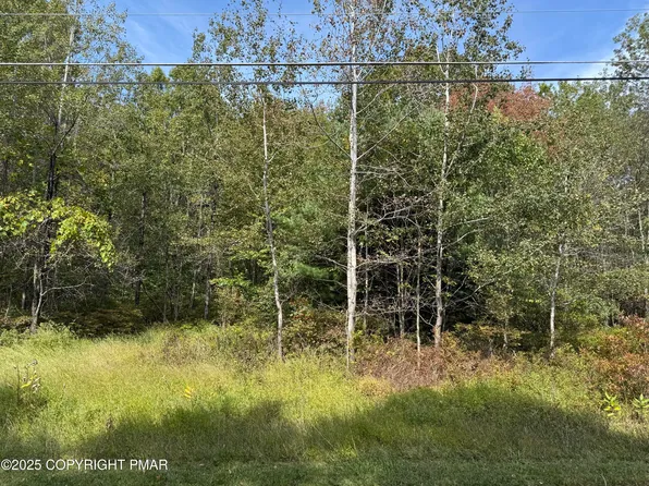 223 Wolf Dr, Jim Thorpe, PA 18229