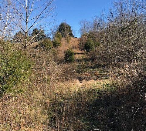 3rd image of 7278 Cooks Ln
