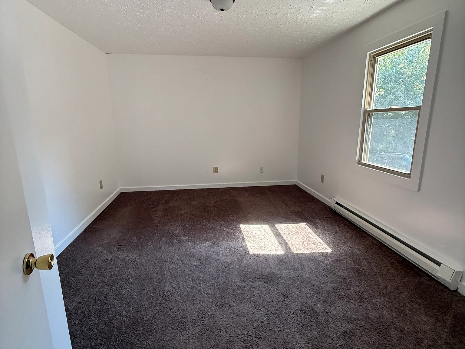2 bed, $850 — Photo 3