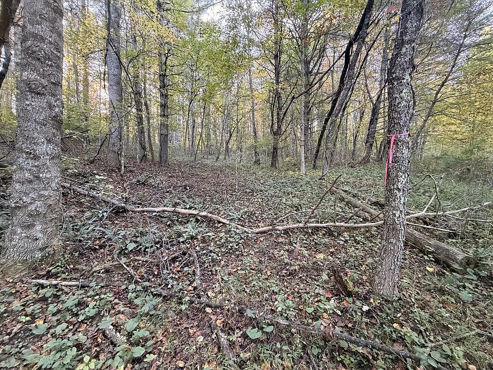 1st image of Wild Cherry Ln