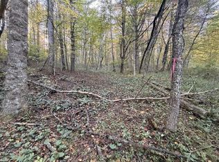 Wild Cherry Ln, Dugspur, VA 24325