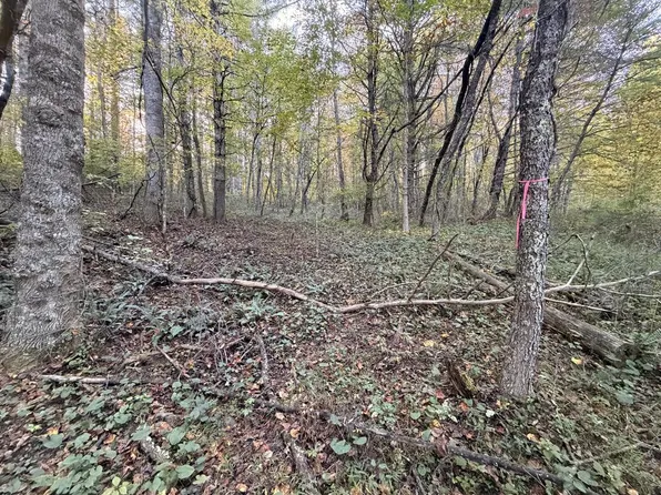 Wild Cherry Ln, Dugspur, VA 24325