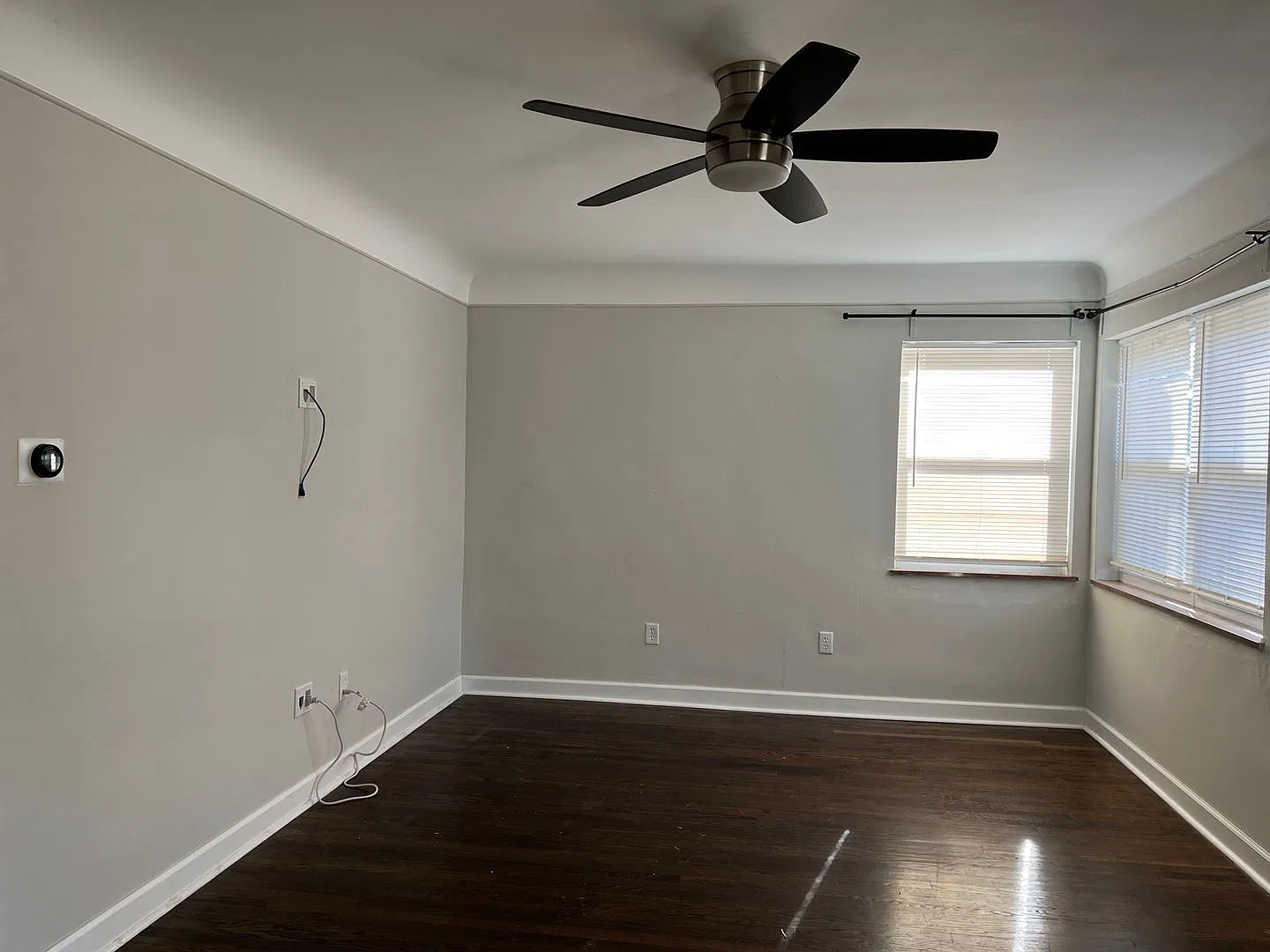 Covedale - Adorable 3bed/1.5 Bath Brinck Cape Cod. Fenced Yard. — Photo 2