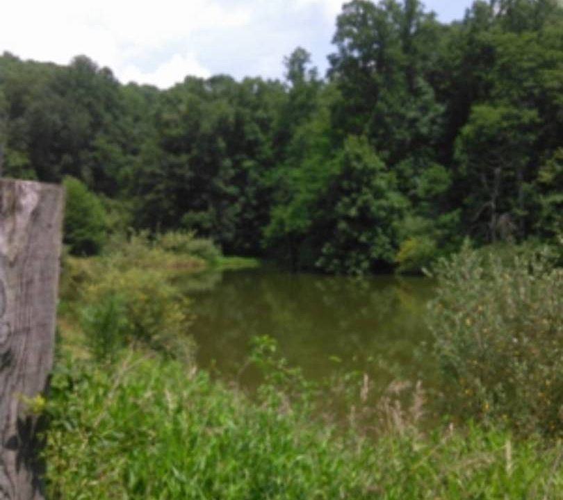 1st image of 877 Speed Rd