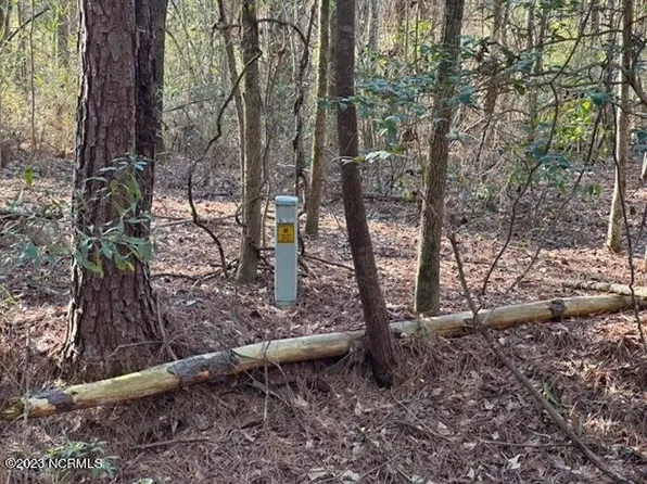 111 Old Salem Drive, Kinston, NC 28504