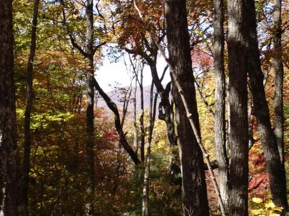 3406 Wildcat Trl, Jasper, GA 30143