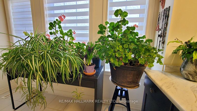 Aurora House for rent - 3 Bedrooms — photo 28