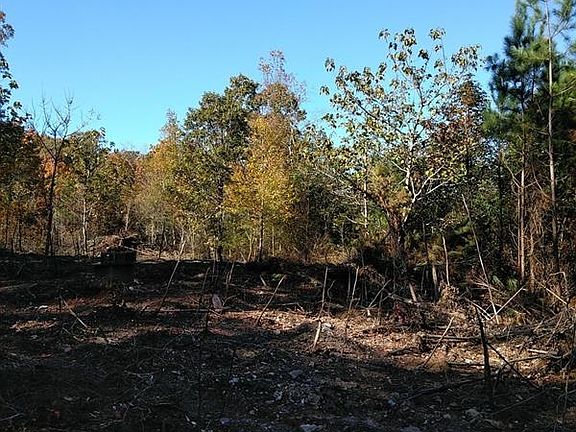 3rd image of 2008 Liberty Church Rd