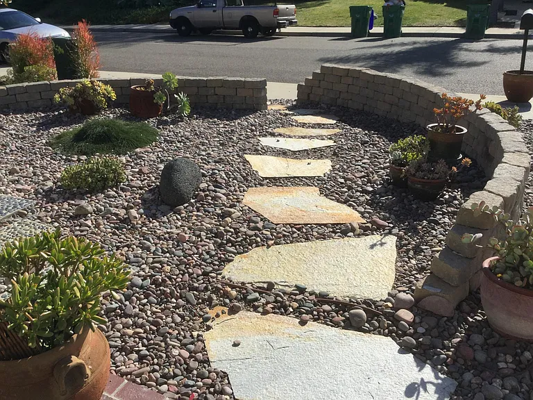 drought tolerant landscaping
