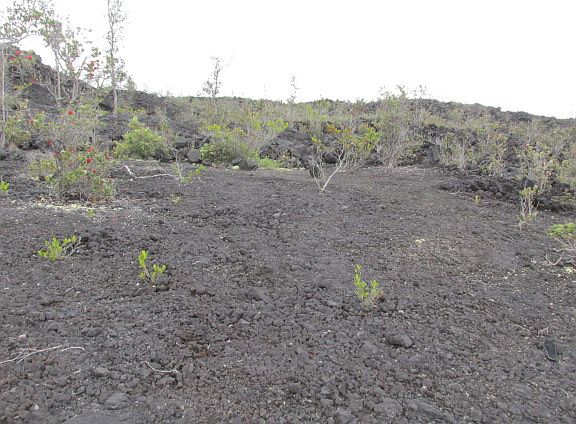 3rd image of King Kamehameha Blvd Lot 23