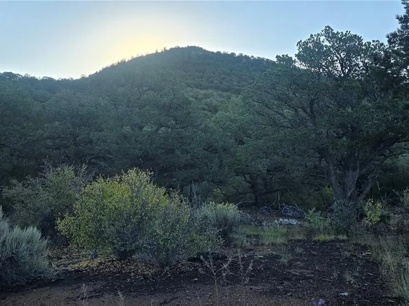 Lot 4363 McMillen Road, Fort Garland, CO 81133