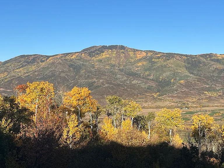 Blue Grouse Ln — Photo 15